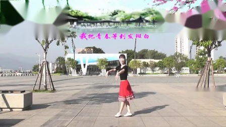 动动广场舞 《梨花飞情人泪》 32步