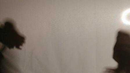 皮影戏《飞屋环游记》