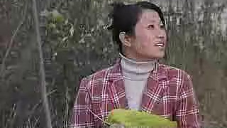 安徽民间小调新片《快嘴女人是非多》