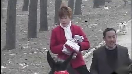 安徽民间小调《毛驴气死车》 主演 荆献顺 