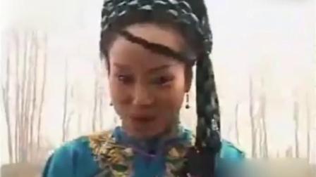 大鼓书《小两口走娘家》张志云唱