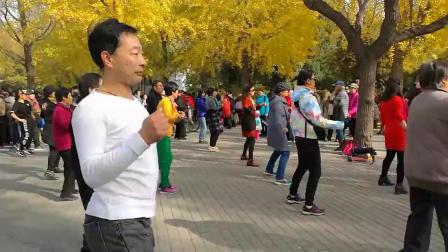陶然亭广场舞十六步《一晃就老了》下载