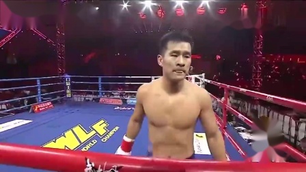 武林风全球功夫盛典 董文飞KO对手获胜 成当
