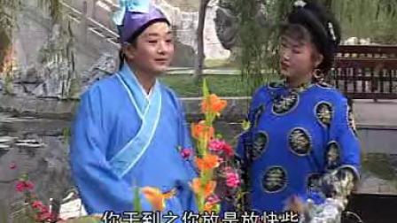 庐剧《打花迷》全 汤先胜 皖兰兰下载