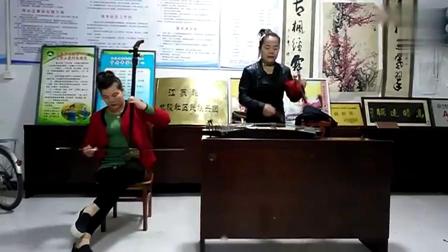 徐州琴书《黛玉北秋》演唱者 陈敏 伴奏者 陈光芹下载