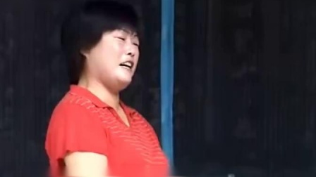 琴书《老两口抬杠》进家中我有点闷闷不乐