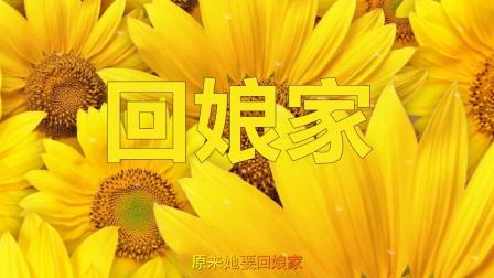 民间小调《回娘家》朱明瑛