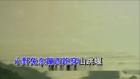 豫剧《朝阳沟》走一道岭来翻一架山