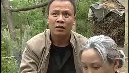 梨园春 民间小调 刘晓燕《儿子成人忘了娘》