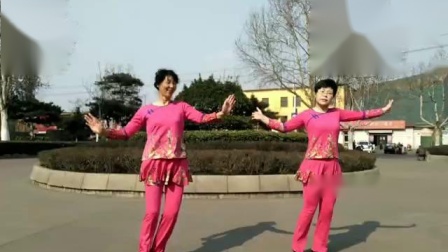 糖豆广场舞《桃花姑娘》新汶花园广场舞队