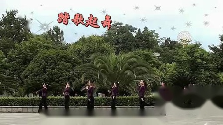 茉莉广场舞《唐古拉》正反面口令教学