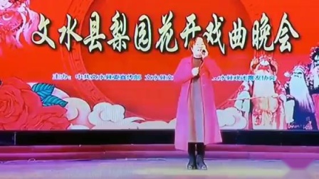 晋剧《十五贯》选段 成丽丽演唱下载