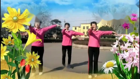 糖豆广场舞《唱一首情歌》新汶花园广场舞队