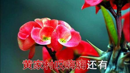 二人台伴奏《卖碗》虎刺梅