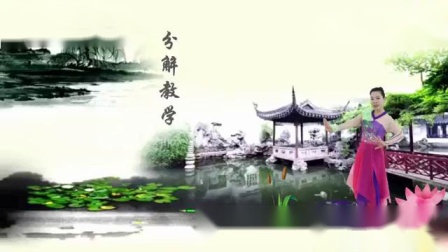 刘荣广场舞队形版《太湖美》