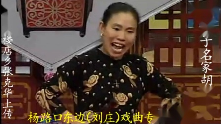 河南坠子《恶媳妇打婆婆》全集 胡银花下载