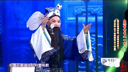 越调《诸葛亮吊孝》选段 申小梅 李树建 汪荃珍等下载