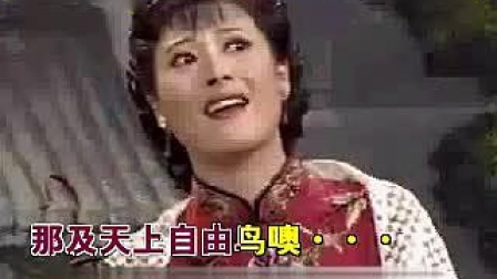 沪剧《相思鸟》（视频对唱纯伴奏）