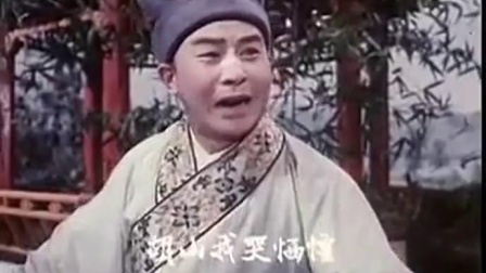 眉户《屠夫状元》胡三我哭呀哭恓惶 王广民