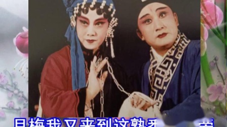 评剧《银河湾 穿堤岸鱼苗送到》谷文月饰演