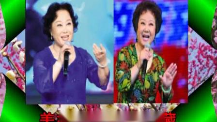 评剧《银河湾青石山高》谷文月饰演周月梅 