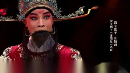 河北梆子《潘阳讼》选段 张颖超等下载