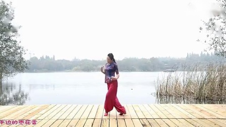 张春丽广场舞 《九儿》 教学版下载
