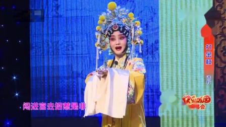 蒲剧《打金枝》选段 表演 贾菊兰下载