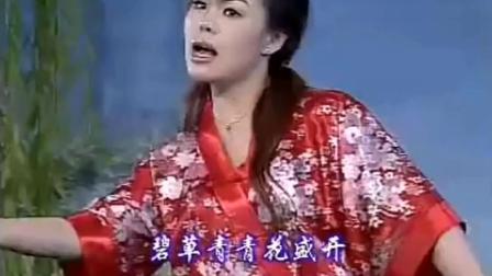 民间小调 梁祝《化蝶》唱的太有感情了