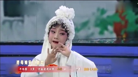 梨园春 豫剧《大祭桩》用情到位不觉流出泪