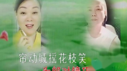 黄梅戏《黄莺树上》