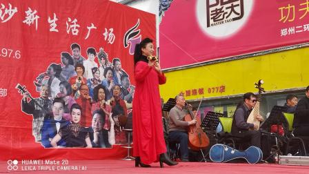 豫剧《盘夫索夫》自幼儿生长在宰相家 金丽