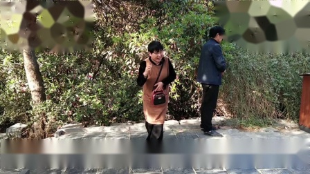 豫剧《三更生死缘》选段 演唱 王秀英 吕建忠下载
