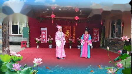 黄梅戏《刘海戏金蟾》