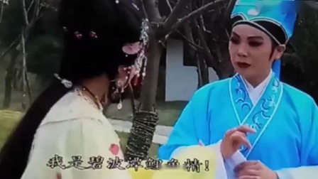 越剧《追鱼》片段
