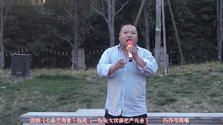 豫剧《七品芝麻官》选段《一张张大状都把严