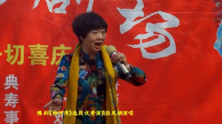 豫剧《柳河湾》选段优秀演员张凤搁演唱视频