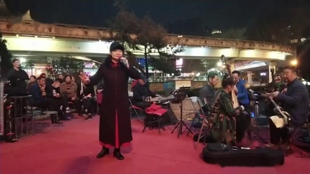 豫剧《五世请缨》选段 演唱王晓玉