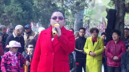 梨园春《几句话说的我》擂主张丹彤演唱下载