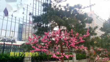 河北梆子《杜薇逃出烟花院》伴奏