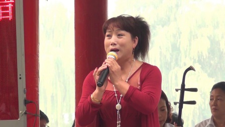 河北梆子《双错遗恨》选段  十大名票 高香