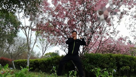 桃花树下混元太极拳24式