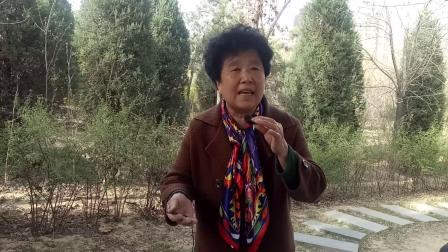 蒲剧《四进士》杨素珍在柳林悲哀酸痛