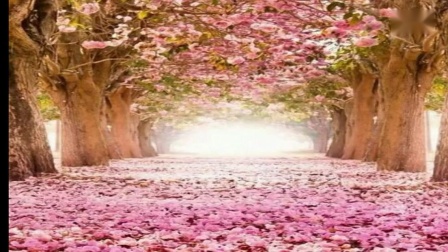 阿采广场舞《小苹果》筷子兄弟