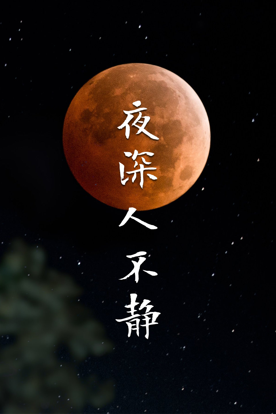 电视剧《夜神人不静》 01下载