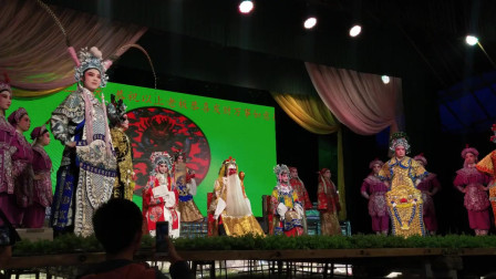 浙江美丹婺剧团演出《龙凤阁》精彩片段