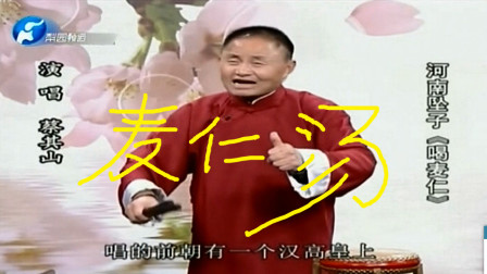 河南坠子《麦仁汤 》上集（王莽撵刘秀）  蔡其