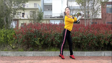 最新广场舞《全民Disco》欢快的节奏瘦身健身欢快32步下载