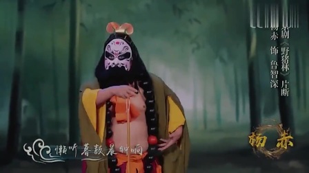 梨园春 杨赤京剧《野猪林》选段 懒听暮鼓晨钟响下载