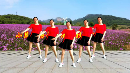 小慧广场舞《陪你到底DJ》正反演示附教学